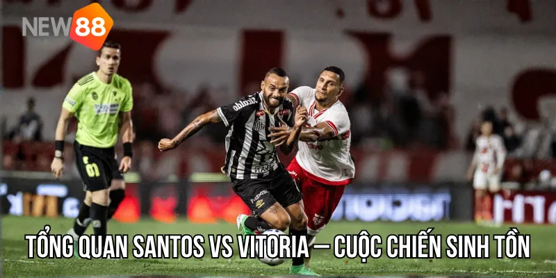 tổng quan Santos vs Vitoria – Cuộc chiến sinh tồn tại Vila Belmiro